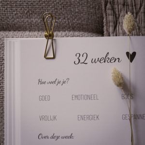 zwanger dagboek 32 weken pagina