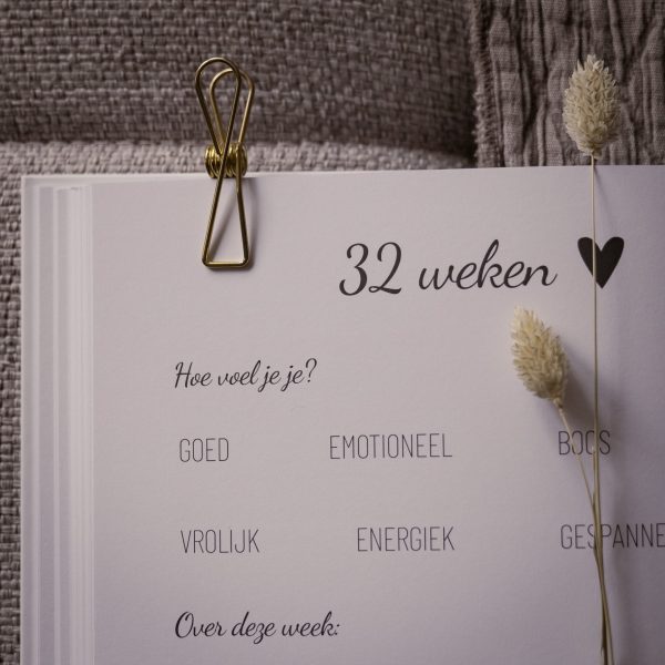 zwanger dagboek 32 weken pagina